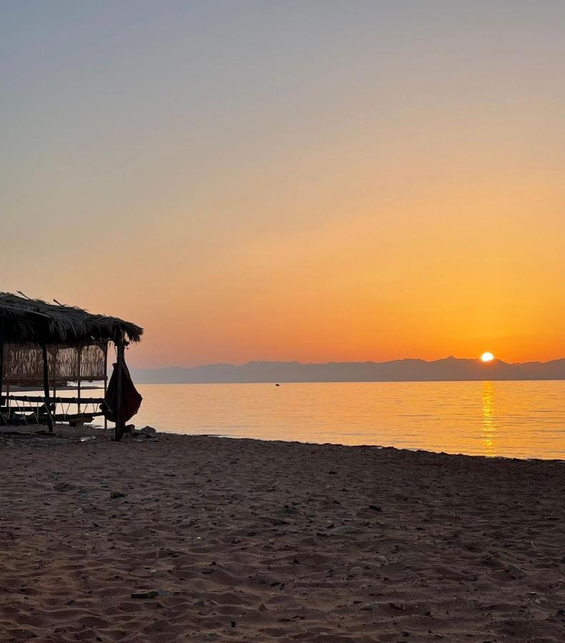 ホテル Anne Sinai'S Best Camp & Resturant Nuweiba` エクステリア 写真