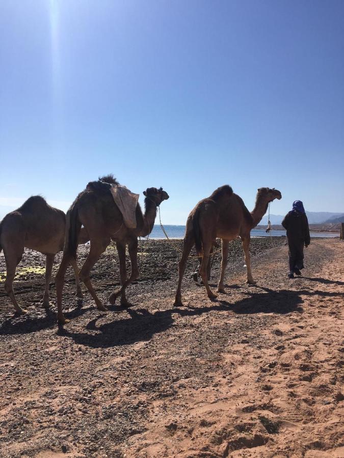 ホテル Anne Sinai'S Best Camp & Resturant Nuweiba` エクステリア 写真